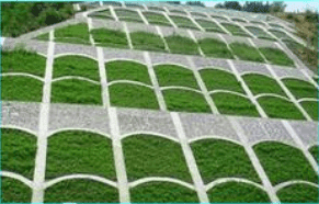 農(nóng)用粘合劑增稠劑應(yīng)用場(chǎng)景 農(nóng)用粘合劑增稠劑應(yīng)用場(chǎng)景