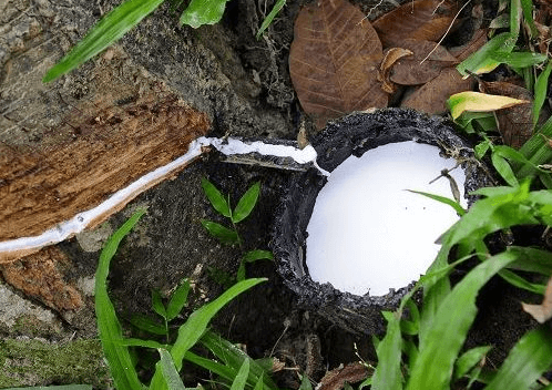 天然乳膠增稠劑應(yīng)用場(chǎng)景.png 天然乳膠增稠劑應(yīng)用場(chǎng)景.png