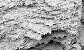 水泥沙漿場景應用圖